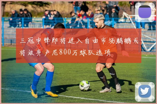三冠中锋即将进入自由市场鹈鹕或将放弃卢尼800万球队选项